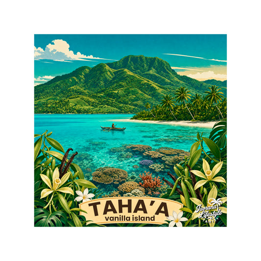 MAGNET TAHA'A - The Vanila Island